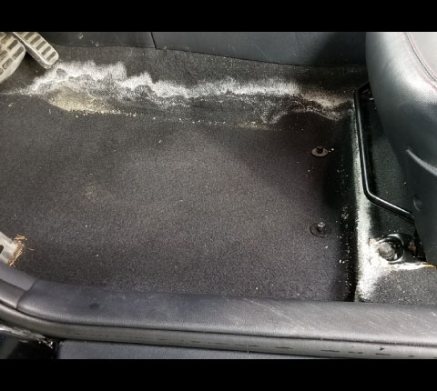 Pro Wax Portfolio Remise à neuf intérieur