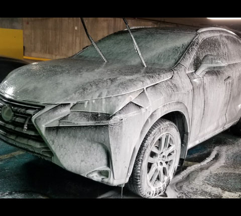 Pro Wax Portfolio Scellant