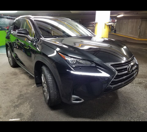 Pro Wax Portfolio Scellant